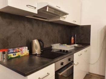 Stylish & quiet apt next to Presidential palace, Bratislava (fotografie 4)
