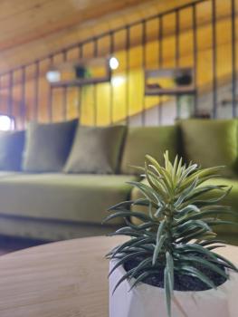 Lulebore Apartament 1, Tirana (photo 2)