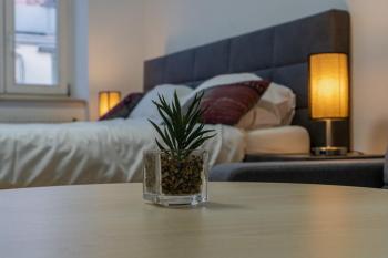 Garden-Eden Apartment, Viena (foto 2)