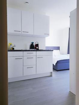 Urban Oasis with Queen Bed and View BE-38, Zurych (zdjęcie 3)