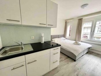 Urban Oasis with Queen Bed and View BE-14, Curych (fotografie 3)