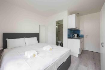 Urban Oasis with Queen Bed and View BE-43, Zúrich (foto 4)