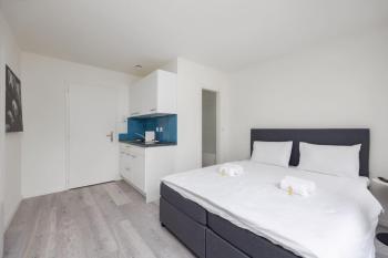 Urban Oasis with Queen Bed and View BE-24, Zurych (zdjęcie 3)