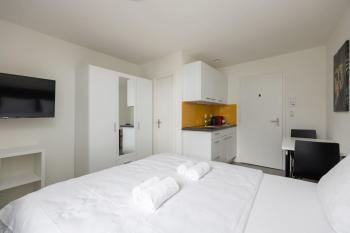 Downtown Deluxe Studio with Queen Bed BE-55, Zürich (photo 3)