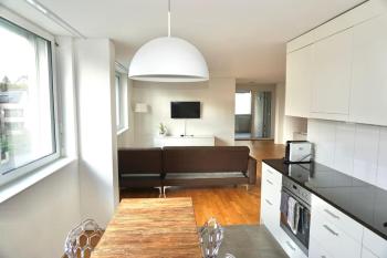 Balcony Suite in Central Zurich SH2,4R, Zürich (photo 4)