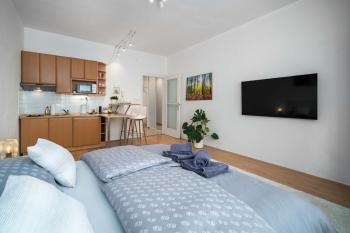 Best Location Apartment AIR-CONDITIONED, Bratislava (fotografie 3)
