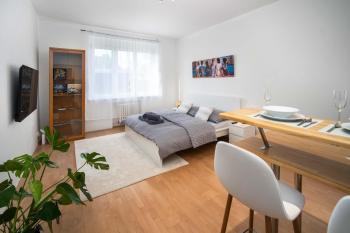 Best Location Apartment AIR-CONDITIONED, Bratislava (fotografie 2)