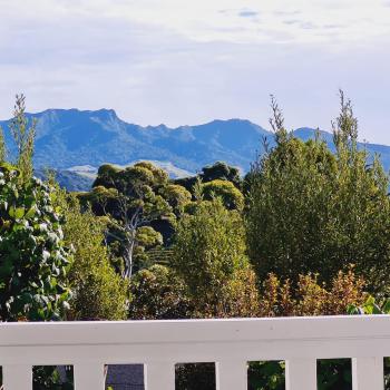 Mountain View Studio, Raglan (fotografie 2)