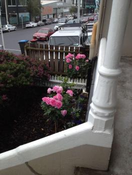 Ponsonby Boutique Villa with Private Gym, Auckland (zdjęcie 3)