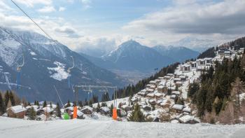 Rupicapra, Bettmeralp (fotografie 2)