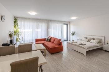 Spacious Terrace Apartment with free private parking, Praha (fotografie 2)