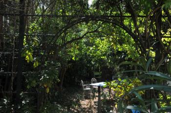 Maison entière avec un grand jardin à 15 min du centre en transports: bienvenue à QG Marseille !, Марсель (фото 3)