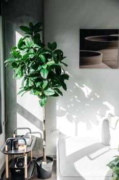 Luxurious Hollywood condo, Los Angeles (fotografie 5)