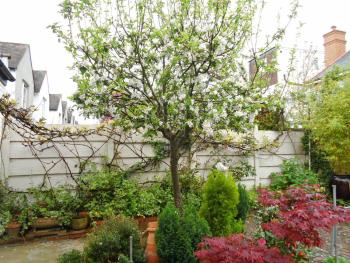 Compton Guest House, London (Foto 4)
