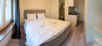 Urban Oasis with Queen Bed and View BE-13, Zurich (photo 2)