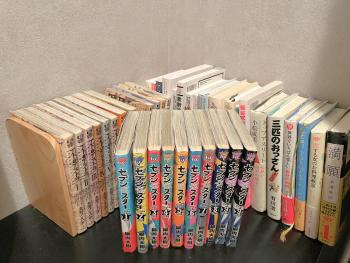 Book Tea Bed SHINJUKU-GYOEN, Tokio (fotografie 4)