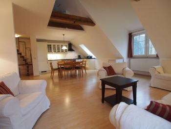 Gut-Rattelvitz-Galerie-F-hochwertig-Sauna-Kamin-eTankstelle-Spielscheune-15-000qm-Park-Land, Gingst (fotografie 4)