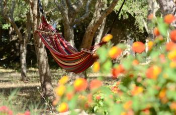 Finca Katia, Capdepera (foto 4)