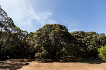 Turner Brook, Augusta (foto 5)