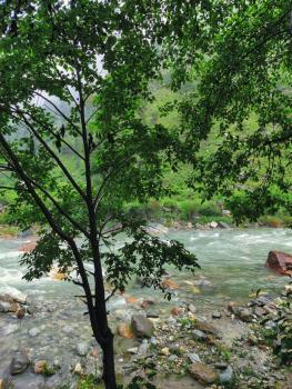 Thehraav By The River - Mudhouse Odyssey, Tirthan Valley, Banjār (foto 5)