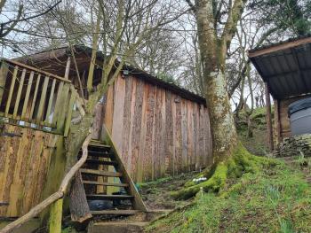 Tree House, Aberaeron (zdjęcie 4)