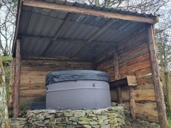 Tree House, Aberaeron (zdjęcie 3)