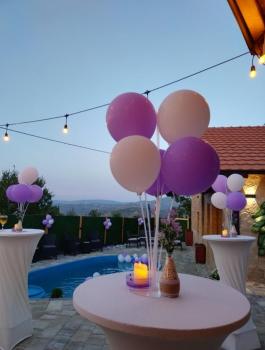 Villa Ohana, Skopje (foto 4)