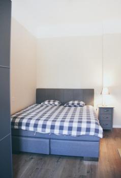 Luxury Renovated - 600 Mbit - 64 M2 - 65 inch TV, Riga (foto 5)