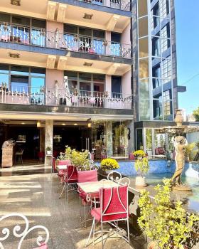 Hotel Elysee, Tirana (zdjęcie 3)