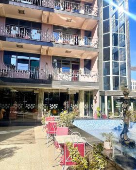 Hotel Elysee, Tirana (zdjęcie 5)