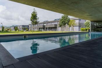 Beach & Garden Apartment, Ponta Delgada (fotografie 3)