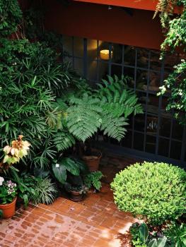 BE Jardin Escondido By Coppola, Buenos Aires (Foto 4)