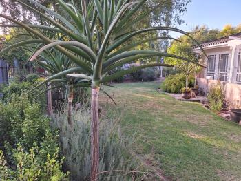 1 CAMDEBO, Oudtshoorn (Foto 5)