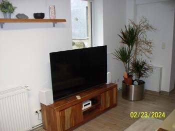 Villa Rogge, Berlin (photo 3)