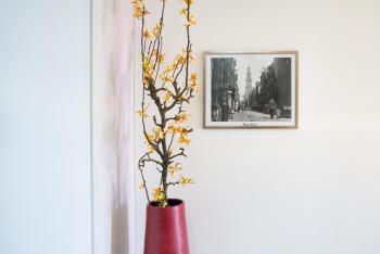 Huis met de krul, Amsterdam (photo 5)