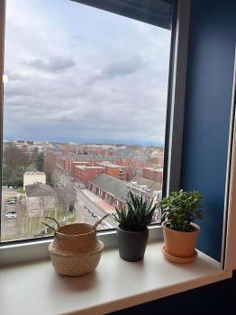 Le Tribunal - Studio près de l’avenue des Vosges, Strasbourg (photo 5)
