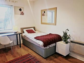 Single room in charming apartment with the terrace and the cat in Sandymount, Dublin (zdjęcie 3)