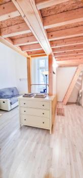 Cozy Karlín Loft City Center, Praga (foto 4)