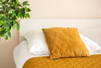 ASTORIA MAGIC ORANGE, OLD TOWN, free parking, Cracovie (photo 3)