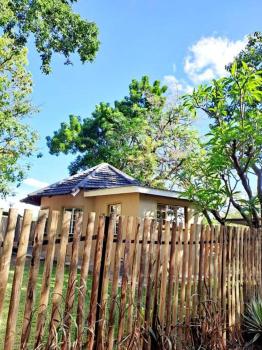 Wild Fig Accommodation, Tzaneen (foto 3)