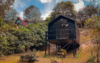 Tiny House La Silleta, Медельин (фото 3)