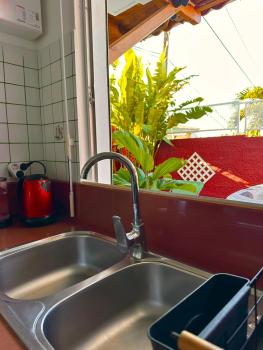 Orchidées, Le Gosier (foto 3)