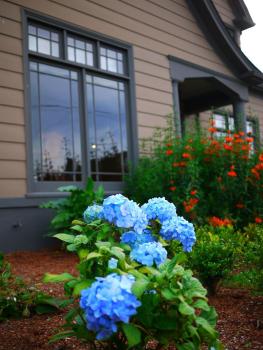 Hydrangea Inn, Eureka (photo 5)