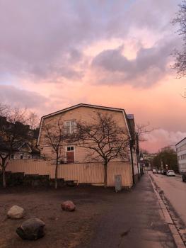 Wooden house studio with shared garden, Helsinki (Foto 2)