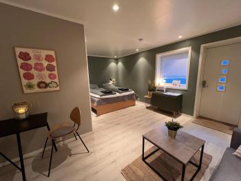 Charming Studio - Free parking - Close to harbour, Bodø (zdjęcie 3)