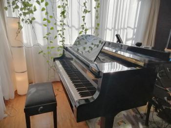 Lovely central flat with grand piano, family friendly, Berlino (foto 2)