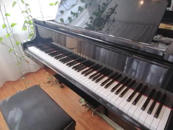 Lovely central flat with grand piano, family friendly, Berlino (foto 3)