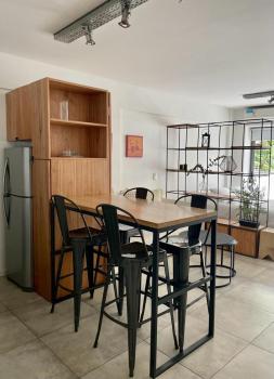 APT New Studio Palermo, Buenos Aires (fotografie 3)