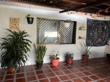 Nice Place, Medellín (fotografie 5)