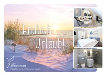 StorchenSuite - Zingst, Zingst (fotografie 2)